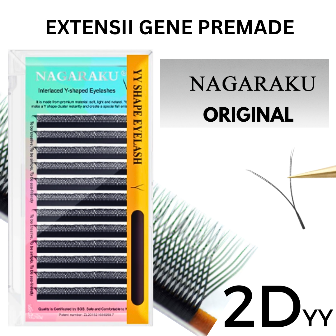 2D YY Nagaraku curbura D