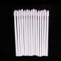 Betisoare Lip Brush - 50 buc