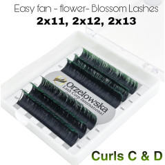 0.07 Easy Fan lashes,mix 11-13, Volum, Blossom flower Ombre - Green