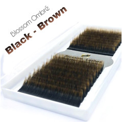 Extensiones de pestañas ombre Blossom, marrón y negro, 0.07, 16 líneas