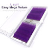 Purple easy volum BLOSSOM FAN FLOWER LASHES, false eyelash extenssion