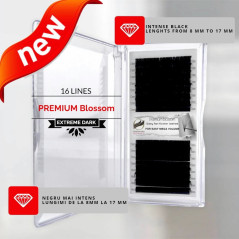 0.07 CC Premium Blossom, easy fan eyelash extensions, intense black, 16 lines.