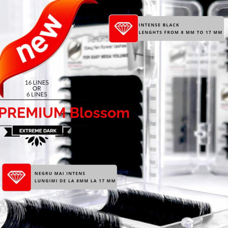 0.07 CC Premium Blossom, easy fan eyelash extensions, intense black, 16 lines.