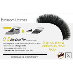 0.07 D Easy fan flower - Blossom eyelash extensions