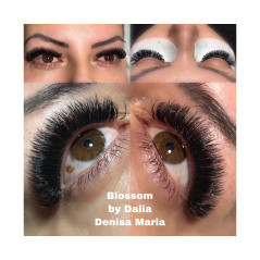 Easy fan flower Blossom, fast volume eyelash extensions