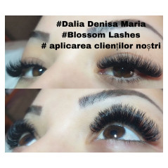 Easy fan flower Blossom, fast volume eyelash extensions