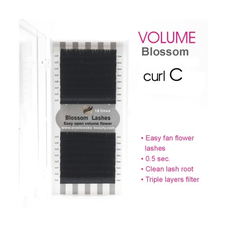 0.07 C Easy fan flower - Blossom Extension ciglia volume