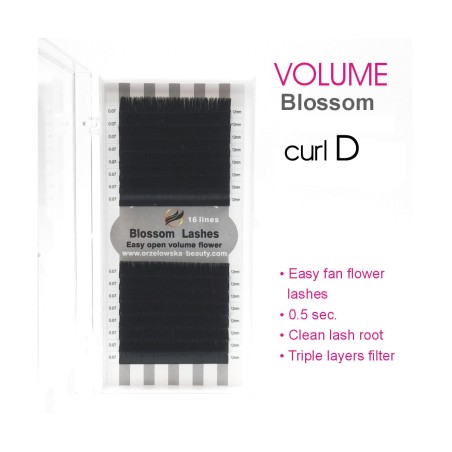 0.10 D Easy fan flower - Blossom Extension ciglia volume