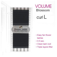 0.12 C Easy fan flower - Blossom Extension ciglia volume