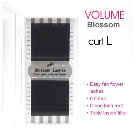 0.12 C Easy fan flower - Blossom eyelash extensions