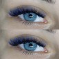 Ombre Blossom, blue & black easy fan lashes, fast volume eyelash extensions