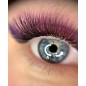 B,C,D,L 0.07 Ombre Eyelash extension Blossom, purple & black,easy fan