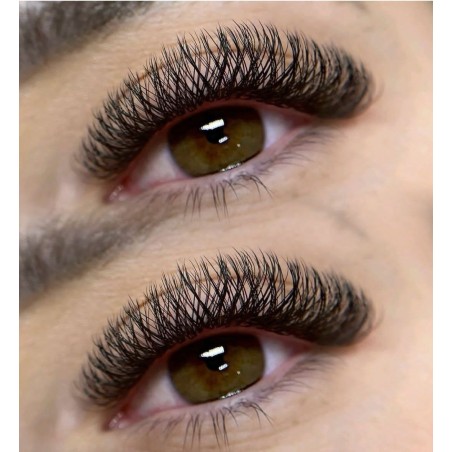 3D W - double tips - PINKY, Curl D : pre-made eyelash extensions, quick volume