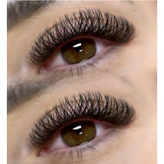 2D YY Nagaraku, black, curl C 0.07 Premade eyelash extensions