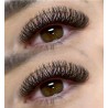 2D YY Nagaraku, black, curl C 0.07 Premade eyelash extensions