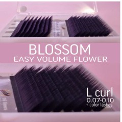 0.10 L Easy fan flower - Blossom Extension ciglia