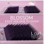 0.07 L Easy fan flower - Blossom eyelash extensions