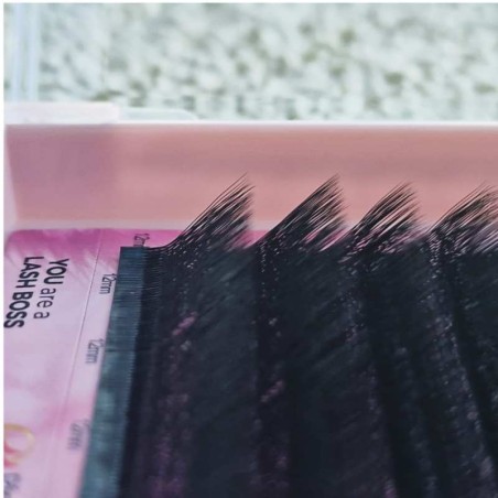 5D W Curl L ---- PINKY premade - eyeliner effect of eyelash extensions, quick volume