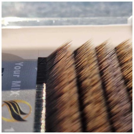 Ombre Brown easy volum BLOSSOM FAN FLOWER LASHES, false eyelash extenssion