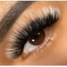 0.07 Easy Fan flower Blossom OMBRE-WHITE eyelashes