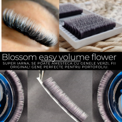 0.07 Easy Fan flower Blossom OMBRE-WHITE eyelashes