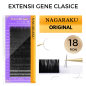 0.12 D Nagaraku Original, extensii gene individuale 1:1