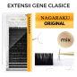 0.12 D Nagaraku Original, extensii gene individuale 1:1