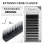 0.07 N Nagaraku Original, Extensii Gene Individuale 1:1