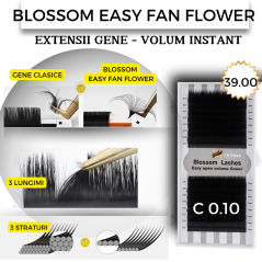 0.10 C Easy fan flower - Blossom eyelash extensions