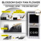 0.10 C Easy fan flower - Blossom Extension ciglia volume