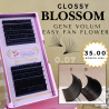 0.07 D Glossy Blossom, facile ventaglio, ciglia flower, aspetto setoso nero, 12 linee