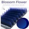 Ombre albastru diverse curburi, extensii gene volum usor, Blossom Easy Fan Flower