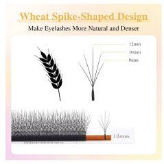 5D W 3.0 Wheat shape Nagaraku, curl D