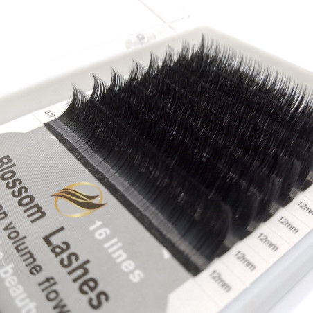 0.03 C Easy fan flower - Blossom Extension ciglia volume
