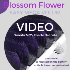 Ombre MOV - Blossom pentru evantaile instante, easy Fan flower 0.07 unite la baza