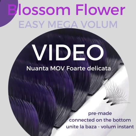 Ombre MOV - Blossom pentru evantaile instante, easy Fan flower 0.07 unite la baza