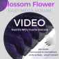 Ombre MOV - Blossom pentru evantaile instante, easy Fan flower  0.07 unite la baza