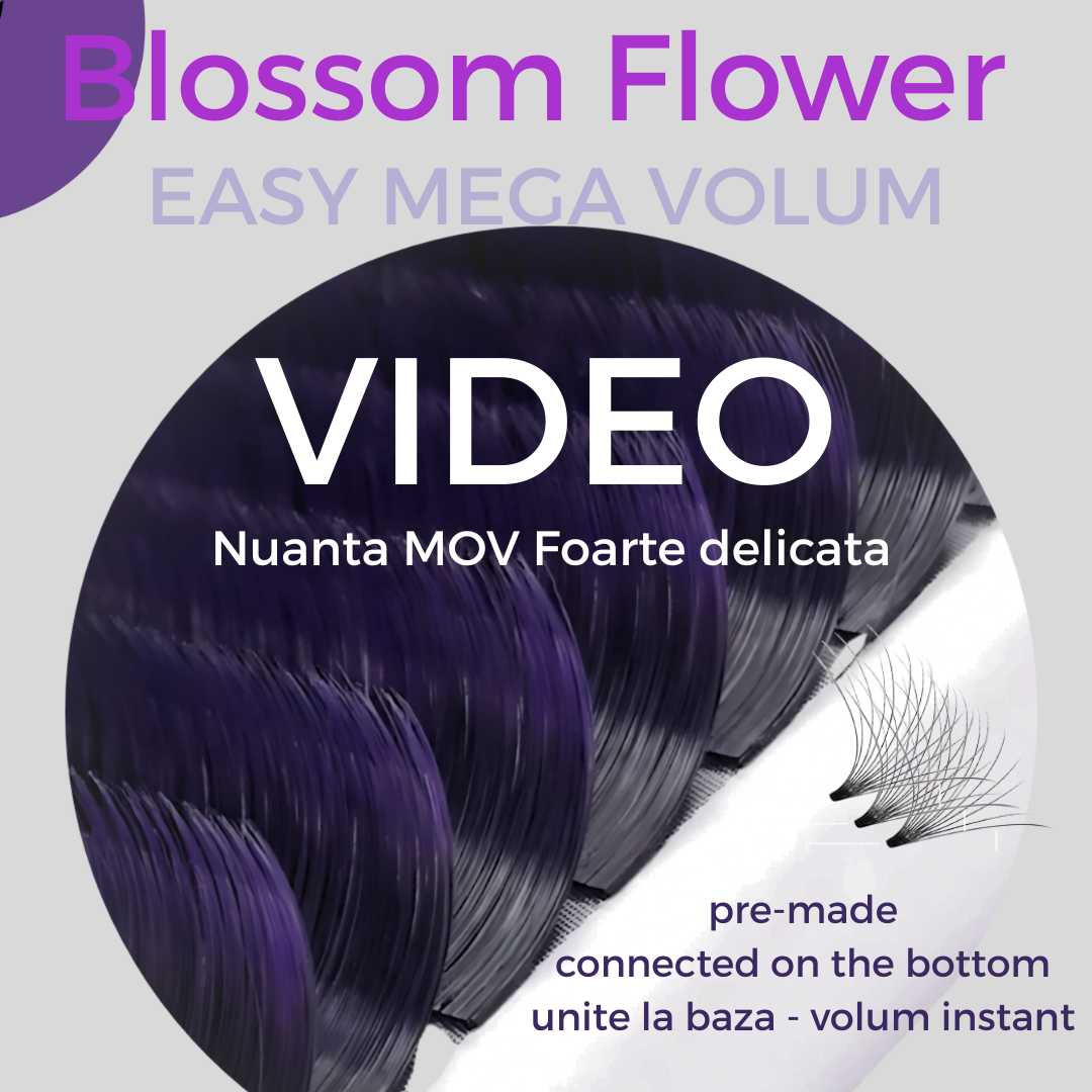 Ombre Purple, Easy Fan Flower Eyelashes for fast volume 0.07, connected in the base