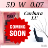 5D W - 0.07 - LU premade eyelash extension