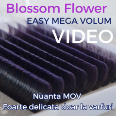 Ombre Purple, Easy Fan Flower Eyelashes for fast volume 0.07, connected in the base