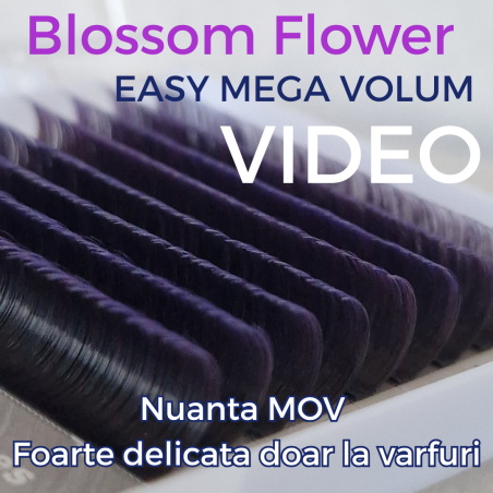 Ombre Purple, Easy Fan Flower Eyelashes for fast volume 0.07, connected in the base