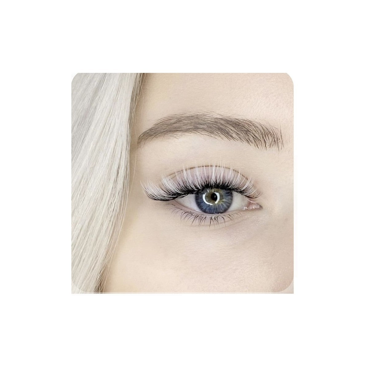 Curbura CC 0.07, Alb Argintiu, 8 linii, fir cu fir, Orzelowska