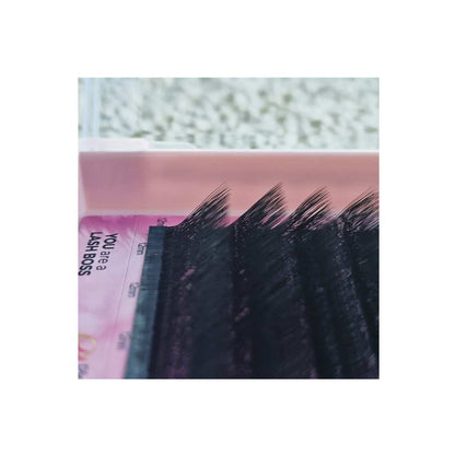 5D W Pre-made Curbură L | Efect eyeliner subțire | Look natural & elegant | extensii gene