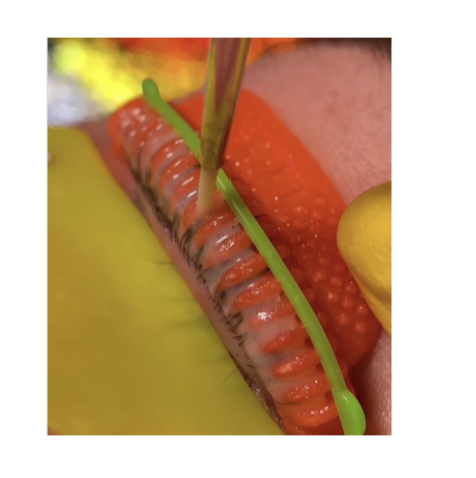 Bigudiuri raze - Laminare gene 4 perechi S/M/L/XL