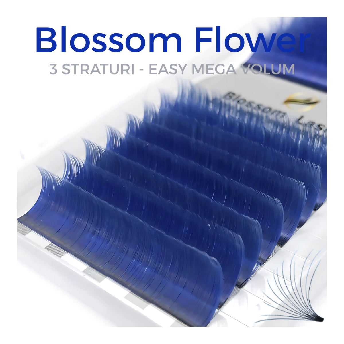 Blossom colorate pre made